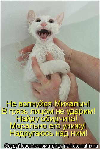 Не волнуйся Михалыч! В грязь лицом не ударим! Найду обидчика! Морально его унижу! Надругаюсь над ним!... Котоматрица: Не волнуйся Михалыч! В грязь лицом не ударим! Найду обидчика! Морально его унижу! Надругаюсь над ним!