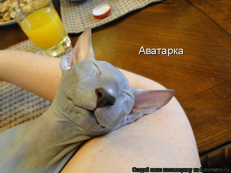Аватарка... Котоматрица: Аватарка