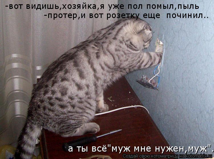 -вот видишь,хозяйка,я уже пол помыл,пыль -протер,и вот розетку еще починил.. а ты всё"муж мне нужен... Котоматрица: -вот видишь,хозяйка,я уже пол помыл,пыль -протер,и вот розетку еще починил.. а ты всё"муж мне нужен,муж"..