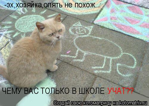 -эх,хозяйка,опять не похож... ЧЕМУ ВАС ТОЛЬКО В ШКОЛЕ УЧАТ??... Котоматрица: -эх,хозяйка,опять не похож... ЧЕМУ ВАС ТОЛЬКО В ШКОЛЕ УЧАТ??