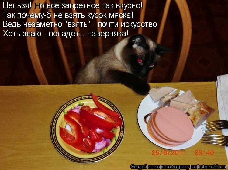 Нельзя! Но всё запретное так вкусно! Так почему-б не взять кусок мяска! Ведь незаметно "взять" - ... Котоматрица: Нельзя! Но всё запретное так вкусно! Так почему-б не взять кусок мяска! Ведь незаметно "взять" - почти искусство Хоть знаю - попадёт... навер