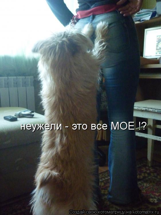 неужели - это все МОЕ !?... Котоматрица: неужели - это все МОЕ !?