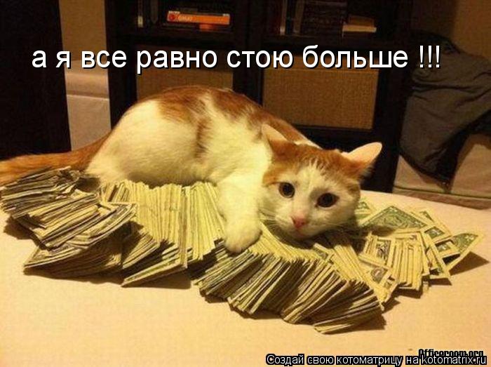 а я все равно стою больше !!!... Котоматрица: а я все равно стою больше !!!