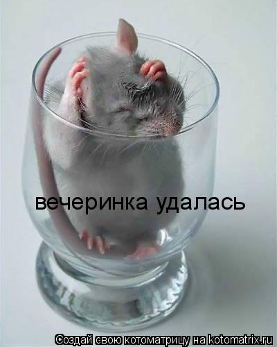 вечеринка удалась... Котоматрица: вечеринка удалась