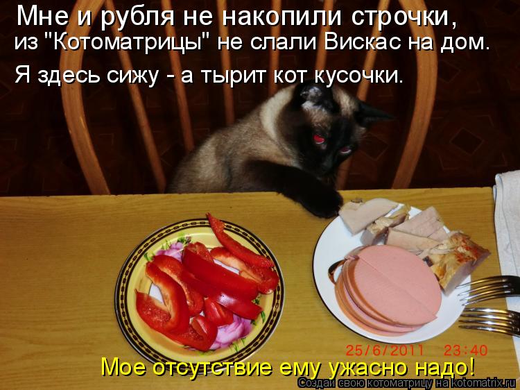 Мне и рубля не накопили строчки, из "Котоматрицы" не слали Вискас на дом. Я здесь сижу - а тырит кот... Котоматрица: Мне и рубля не накопили строчки, из "Котоматрицы" не слали Вискас на дом. Я здесь сижу - а тырит кот кусочки. Мое отсутствие ему ужасно надо!