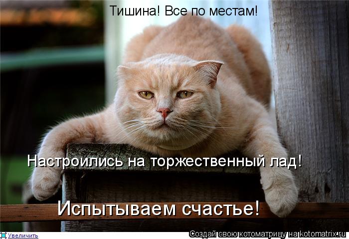 Тишина! Все по местам! Испытываем счастье! Настроились на торжественный лад!... Котоматрица: Тишина! Все по местам! Испытываем счастье! Настроились на торжественный лад!