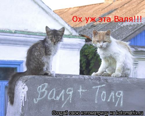 Ох уж эта Валя!!!... Котоматрица: Ох уж эта Валя!!!