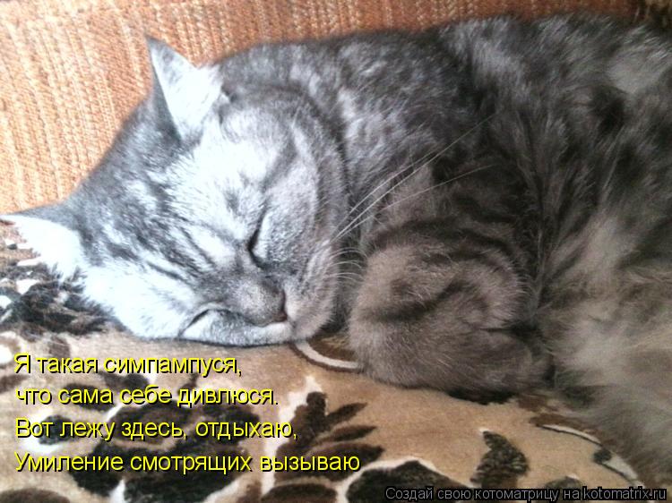 Я такая симпампуся, что сама себе дивлюся. Вот лежу здесь, отдыхаю, Умиление смотрящих вызываю... Котоматрица: Я такая симпампуся, что сама себе дивлюся. Вот лежу здесь, отдыхаю, Умиление смотрящих вызываю