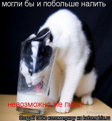 могли бы и побольше налить невозможно же пить!... Котоматрица: могли бы и побольше налить невозможно же пить!
