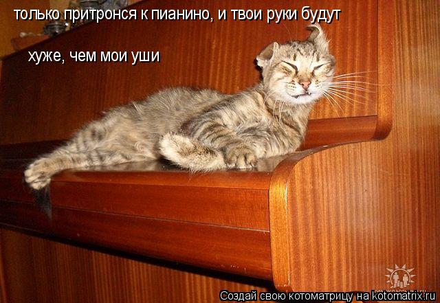 только притронся к пианино, и твои руки будут хуже, чем мои уши... Котоматрица: только притронся к пианино, и твои руки будут хуже, чем мои уши