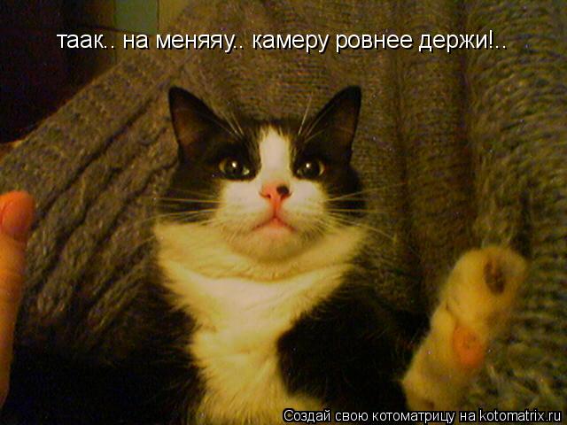 таак.. на меняяу.. камеру ровнее держи!..... Котоматрица: таак.. на меняяу.. камеру ровнее держи!..