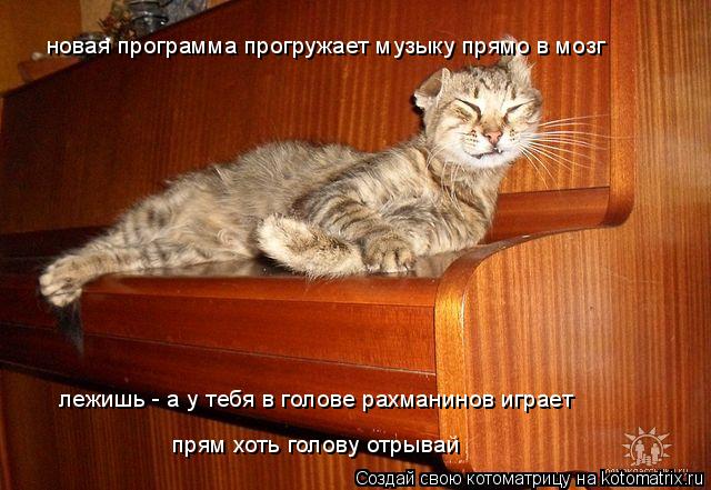новая программа прогружает музыку прямо в мозг лежишь - а у тебя в голове рахманинов играет прям хоть... Котоматрица: новая программа прогружает музыку прямо в мозг лежишь - а у тебя в голове рахманинов играет прям хоть голову отрывай