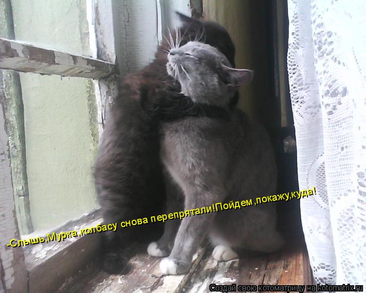 -Слышь,Мурка,колбасу снова перепрятали!Пойдем,покажу,куда!... Котоматрица: -Слышь,Мурка,колбасу снова перепрятали!Пойдем,покажу,куда!