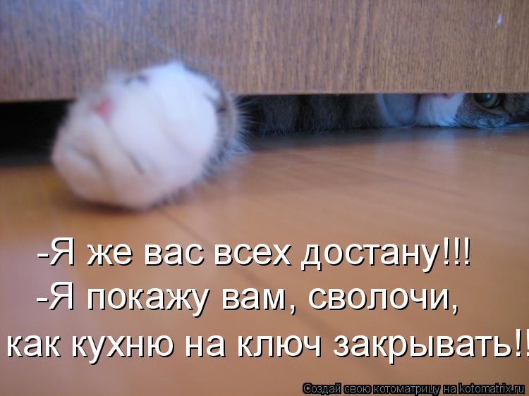 -Я же вас всех достану!!! -Я покажу вам, сволочи, как кухню на ключ закрывать!!!... Котоматрица: -Я же вас всех достану!!! -Я покажу вам, сволочи, как кухню на ключ закрывать!!!