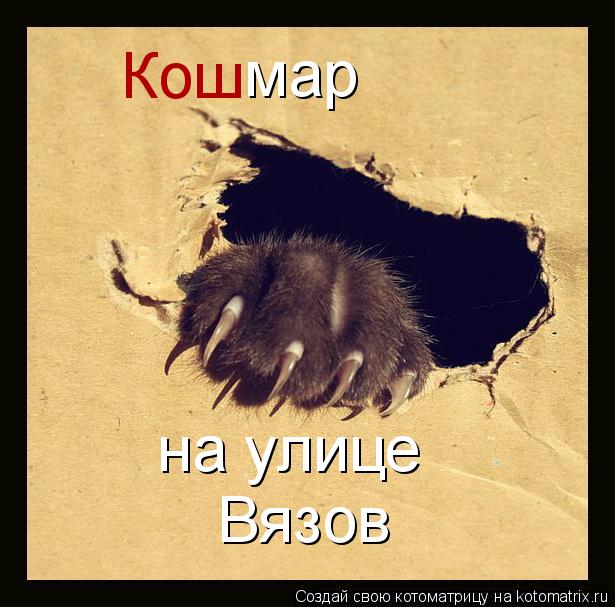мар на улице Вязов Кош... Котоматрица: мар на улице Вязов Кош