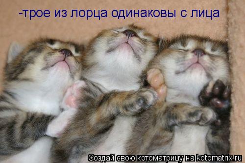 -трое из лорца одинаковы с лица... Котоматрица: -трое из лорца одинаковы с лица