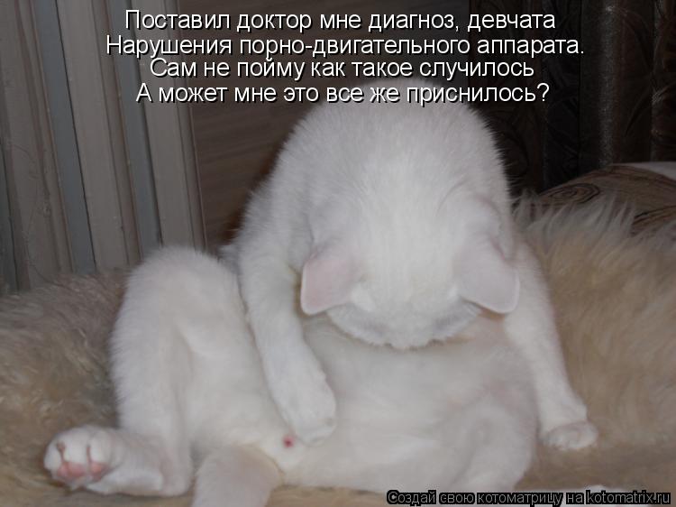 Поставил доктор мне диагноз, девчата Нарушения порно-двигательного аппарата. Сам не пойму как такое с... Котоматрица: Поставил доктор мне диагноз, девчата Нарушения порно-двигательного аппарата. Сам не пойму как такое случилось А может мне это все же присни