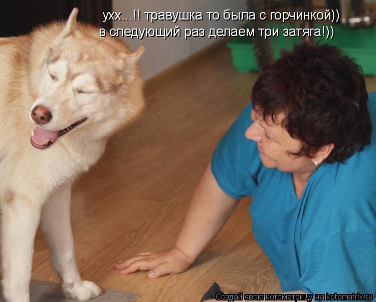 ухх...!! травушка то была с горчинкой)) в следующий раз делаем три затяга!))... Котоматрица: ухх...!! травушка то была с горчинкой)) в следующий раз делаем три затяга!))