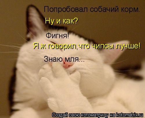 Попробовал собачий корм. Ну и как? Фигня! Я ж говорил,что чипсы лучше! Знаю мля...... Котоматрица: Попробовал собачий корм. Ну и как? Фигня! Я ж говорил,что чипсы лучше! Знаю мля...