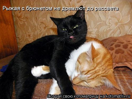 Рыжая с брюнетом не дремлют до рассвета... Котоматрица: Рыжая с брюнетом не дремлют до рассвета