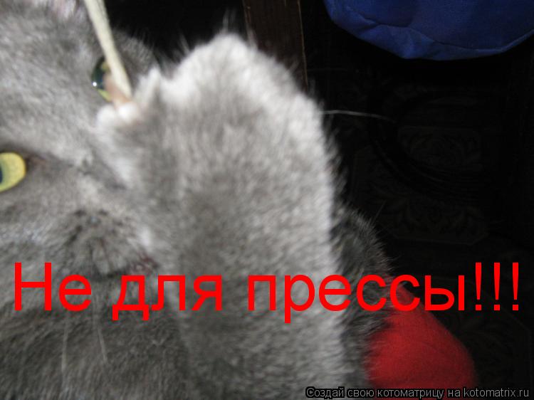 Не для прессы!!!... Котоматрица: Не для прессы!!!