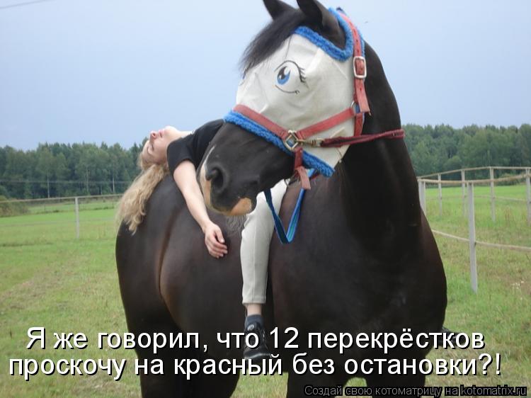 Я же говорил, что 12 перекрёстков проскочу на красный без остановки?!... Котоматрица: Я же говорил, что 12 перекрёстков проскочу на красный без остановки?!