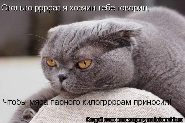 Сколько рррраз я хозяин тебе говорил, Чтобы мяса парного килогррррам приносил!... Котоматрица: Сколько рррраз я хозяин тебе говорил, Чтобы мяса парного килогррррам приносил!