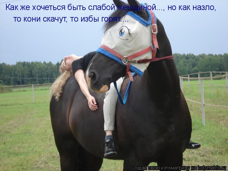 Как же хочеться быть слабой женщиной..., но как назло, то кони скачут, то избы горят....... Котоматрица: Как же хочеться быть слабой женщиной..., но как назло, то кони скачут, то избы горят....