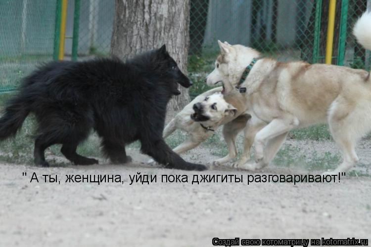 " А ты, женщина, уйди пока джигиты разговаривают!"... Котоматрица: " А ты, женщина, уйди пока джигиты разговаривают!"