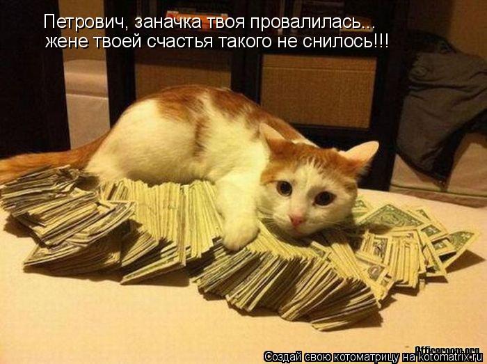 Петрович, заначка твоя провалилась... жене твоей счастья такого не снилось!!!... Котоматрица: Петрович, заначка твоя провалилась... жене твоей счастья такого не снилось!!!