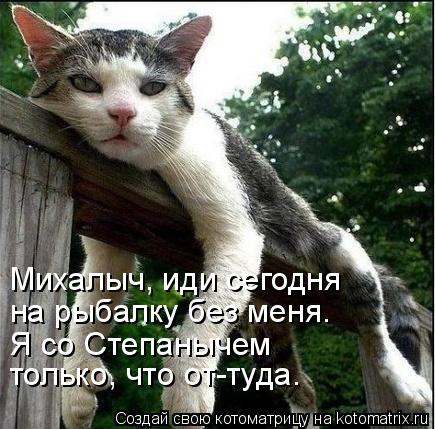 Михалыч, иди сегодня на рыбалку без меня. Я со Степанычем только, что от-туда.... Котоматрица: Михалыч, иди сегодня на рыбалку без меня. Я со Степанычем только, что от-туда.