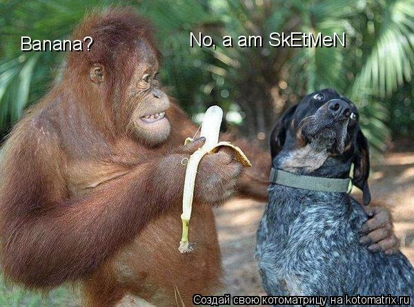 Banana? No, a am SkEtMeN... Котоматрица: Banana? No, a am SkEtMeN