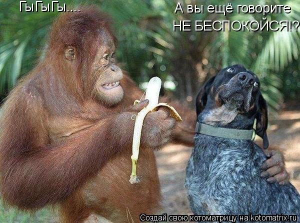 А вы ещё говорите НЕ БЕСПОКОЙСЯ!? ГыГыГы....... Котоматрица: А вы ещё говорите НЕ БЕСПОКОЙСЯ!? ГыГыГы....