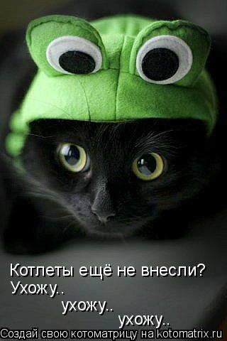 Котлеты ещё не внесли? Ухожу.. ухожу.. ухожу..... Котоматрица: Котлеты ещё не внесли? Ухожу.. ухожу.. ухожу..