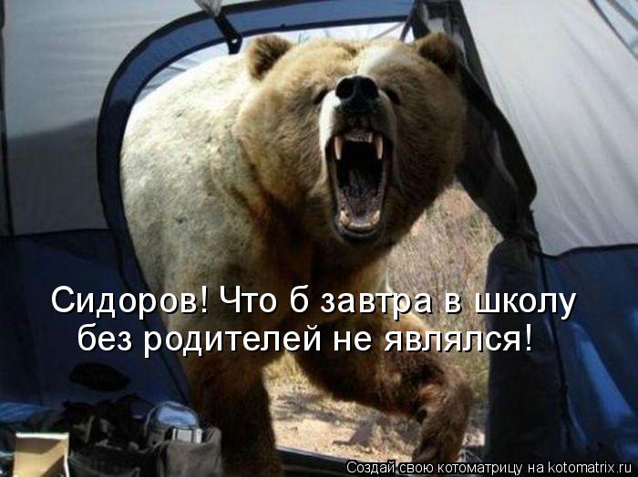 Сидоров! Что б завтра в школу без родителей не являлся!... Котоматрица: Сидоров! Что б завтра в школу без родителей не являлся!