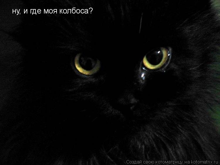 ну, и где моя колбоса?... Котоматрица: ну, и где моя колбоса?