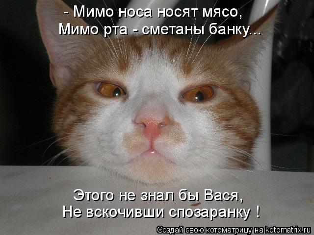 - Мимо носа носят мясо, Мимо рта - сметаны банку... Этого не знал бы Вася, Не вскочивши спозаранку !... Котоматрица: - Мимо носа носят мясо, Мимо рта - сметаны банку... Этого не знал бы Вася, Не вскочивши спозаранку !