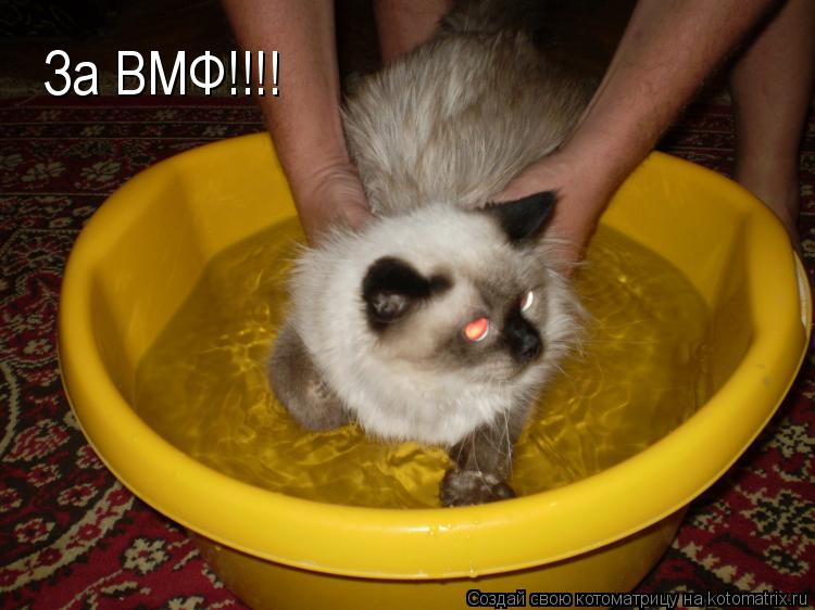 Котоматрица: За ВМФ!!!!