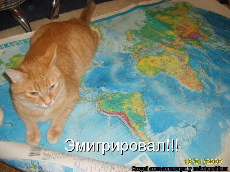 Котоматрица: Эмигрировал!!!
