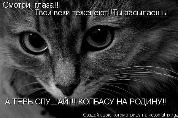 Котоматрица: Смотри  глаза!!! Твои веки тежелеют!!Ты засыпаешь! А ТЕРЬ СЛУШАЙ!!!!КОЛБАСУ НА РОДИНУ!!
