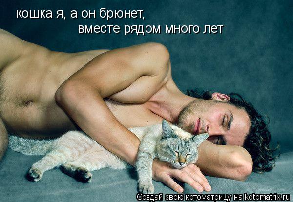 Котоматрица: кошка я, а он брюнет, вместе рядом много лет