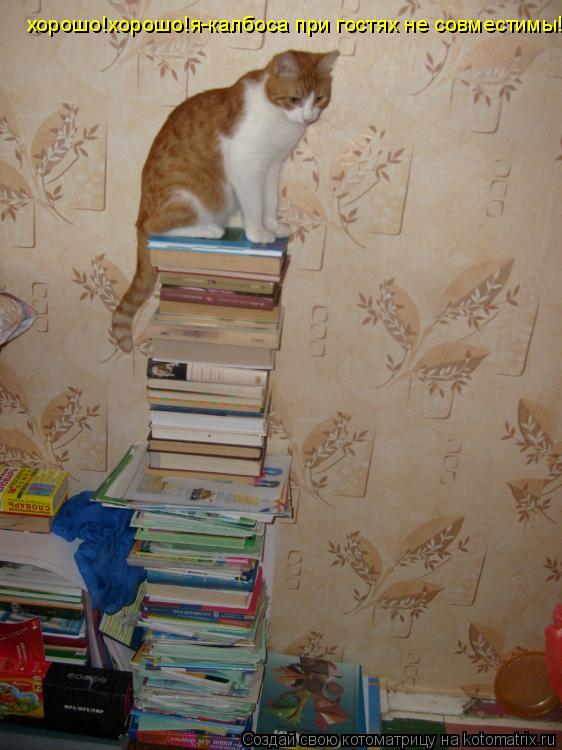 Котоматрица: хорошо!хорошо!я-калбоса при гостях не совместимы!