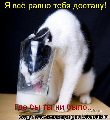 Котоматрица: Я всё равно тебя достану! Где бы ты ни было...