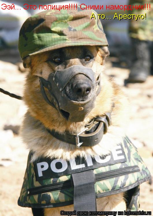 Котоматрица: Ээй... Это полиция!!!! Сними намордник!!! А то... Арестую!