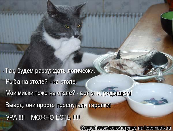Котоматрица: - Так, будем рассуждать логически. Рыба на столе? - на столе! Мои миски тоже на столе? - вот они, рядышком! Вывод: они просто перепутали тарелки! 