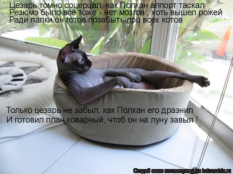 Котоматрица: Цезарь томно соцерцал, как Полкан аппорт таскал Резюмэ было всё тоже - нет мозгов , хоть вышел рожей Ради палки он готов позабыть про всех ко