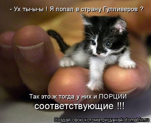 - Ух ты-ы-ы ! Я попал в страну Гулливеров ? Так это ж тогда у них и ПОРЦИИ соответствующие !!!... Котоматрица: - Ух ты-ы-ы ! Я попал в страну Гулливеров ? Так это ж тогда у них и ПОРЦИИ соответствующие !!!
