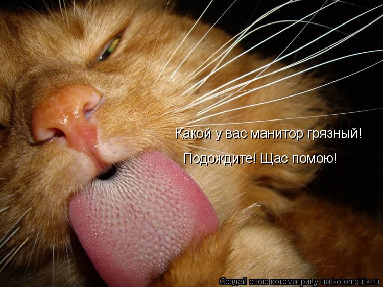 Котоматрица: Какой у вас манитор грязный! Подождите! Щас помою!
