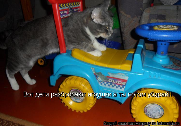 Котоматрица: Вот дети разбросают игрушки а ты потом убирай!!