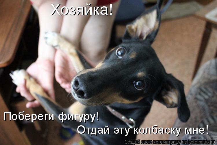 Котоматрица: Хозяйка!  Побереги фигуру! Отдай эту колбаску мне!